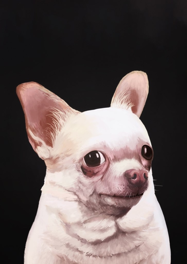 Lustiges Hunde-Meme Poster von Mashz