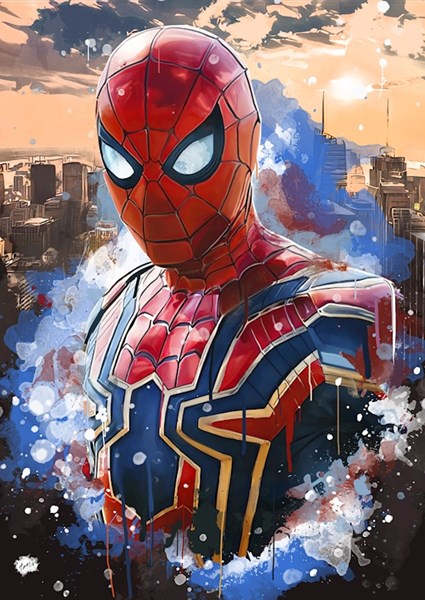 Spider man mirror -  France