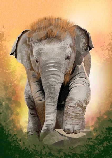 Bébé éléphant affiches et impressions par Stephanie Wolf - Printler