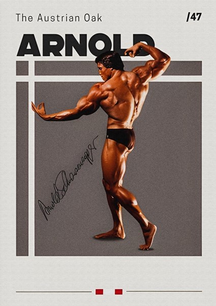 Arnold Schwarzenegger affiches et impressions par antonio - Printler