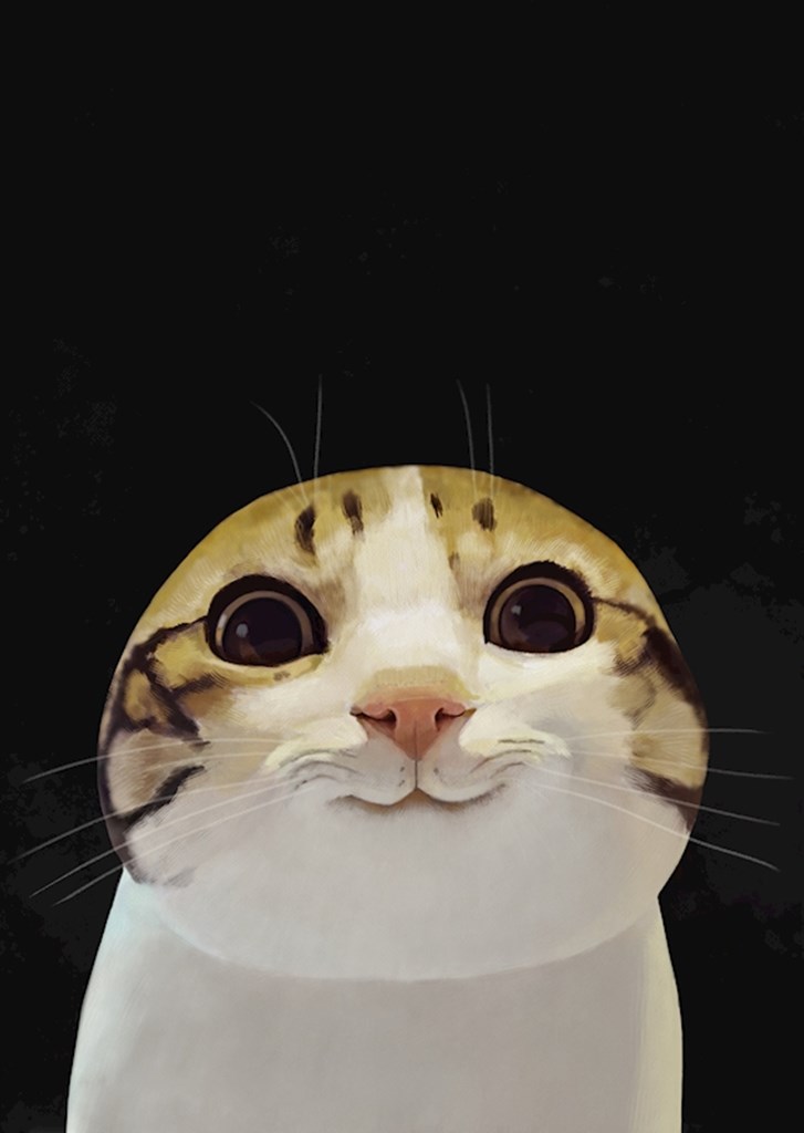 A cat smiling top