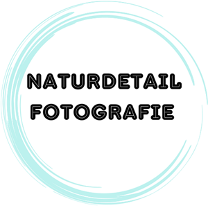 Naturdetail Fotografie