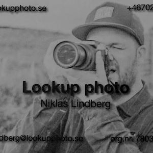 Niklas Lindberg