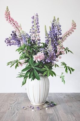 Lupins in a vase