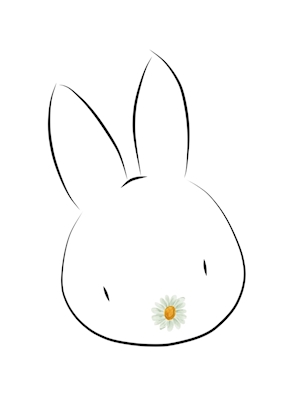 Daisy Rabbit