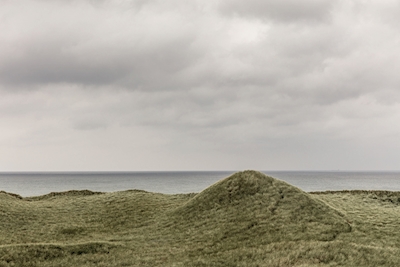 Green dunes in Denmark