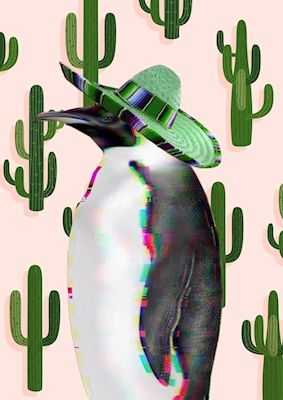  Tučňák v Mexiku 