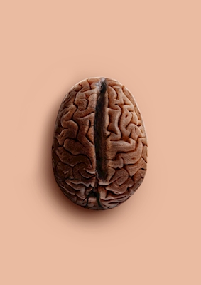 Morgon hjärna