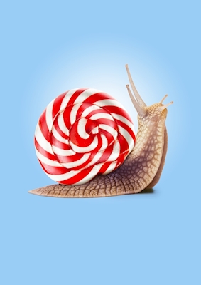 Caracol doce