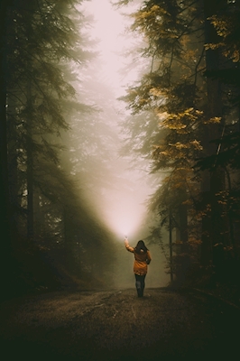 Flicka i den dimmiga skogen