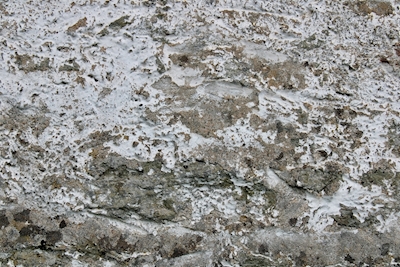 Muro in pietra bianca/mattoni