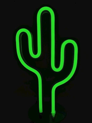 Kaktusen