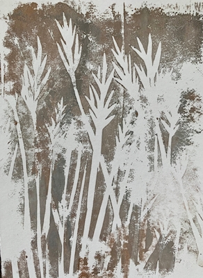 Trawy linoline 