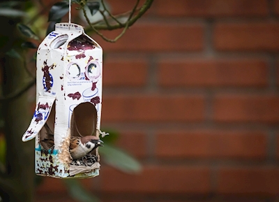 Karmnik dla ptaków - Domowej roboty