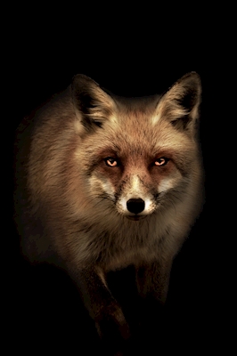 Mystic Fox | Mystisk räv