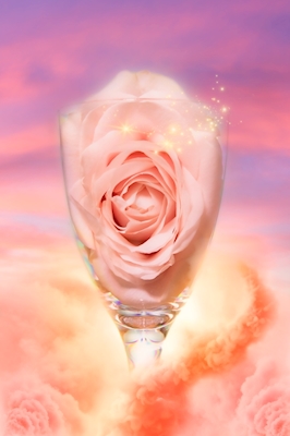 Heavenly rose