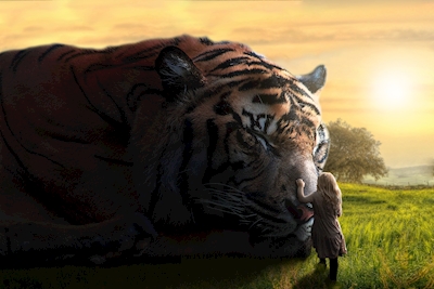 Dröm STOR liten - Tiger