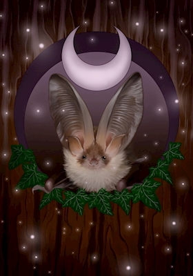 Magische Fledermaus 