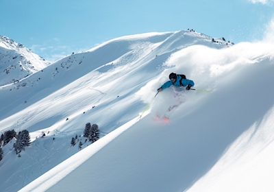 Big turn in powder by skiier