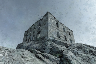 Ruines du château de Brahehus