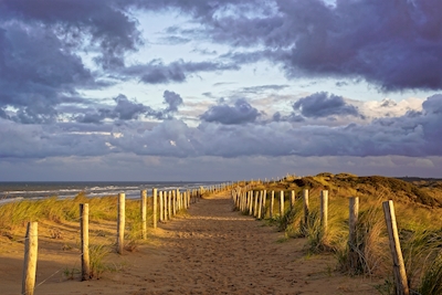 Sandy path along the ocean