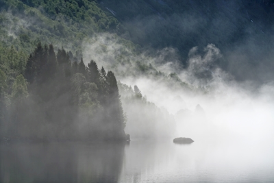 Morning mist at the lake