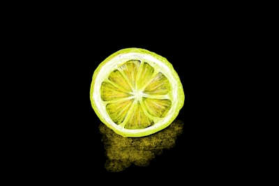 Fetta di limone in felicità