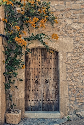Puerta de madera antigua en pared de piedra
