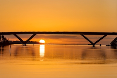Bro i solnedgång