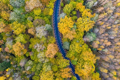 Herbst an der Autobahn