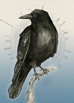 Dibujo de cuervo en tinta lavada