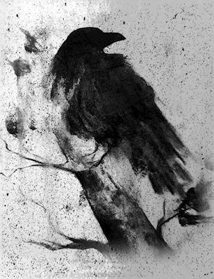 The crow