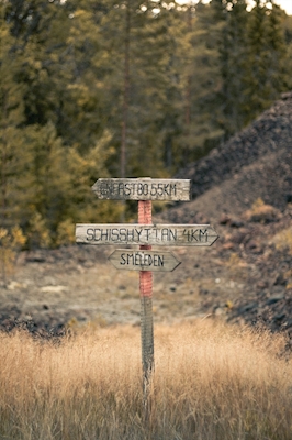A sign in the forest