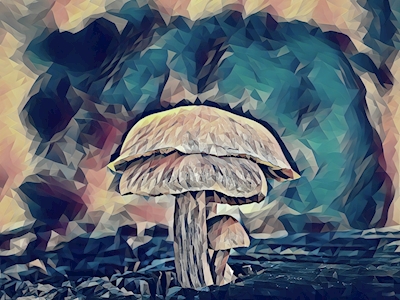 A família dos cogumelos