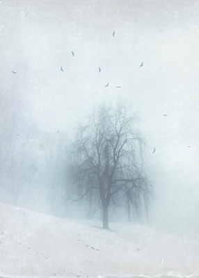 Spøgelser - Vinterlandskab