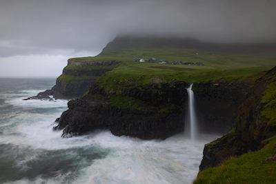 Nezkrotný - Faerské ostrovy