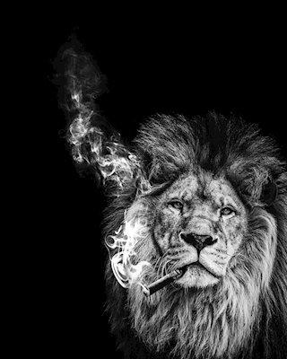 Røget løve