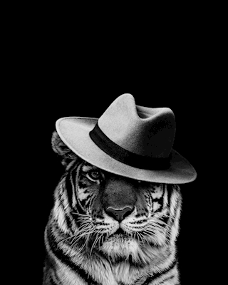 Tiger i en hatt