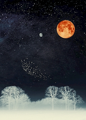 Venus und Mond Nachthimmel