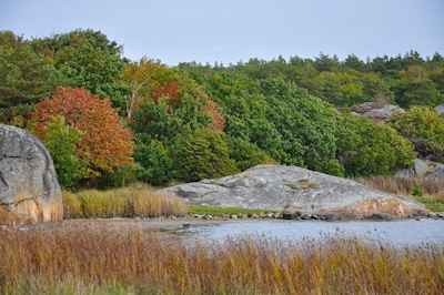 Podzim na Stora Amundön