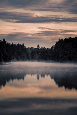 Neblina sobre o lago da floresta