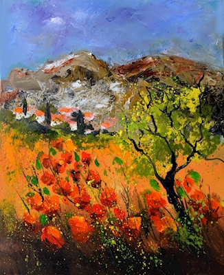 Rote Mohnblumen in der Provence