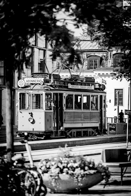 The tram