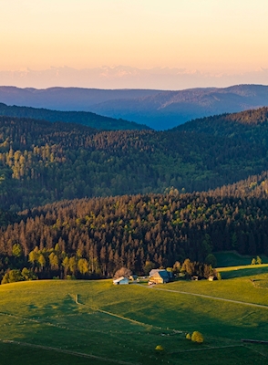 Schwarzwaldhus i Schwarzwald