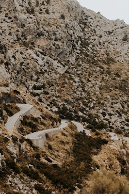 Road into the mountain