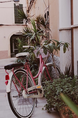 Vaaleanpunainen polkupyörä