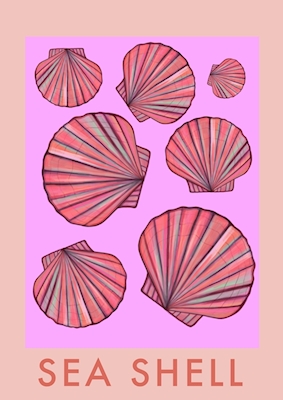 Sea shell 
