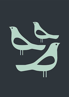 Plakát ptáků