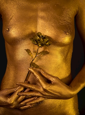 Gouden lichaam