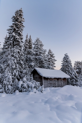 Kerstmis in Jukkasjärvi